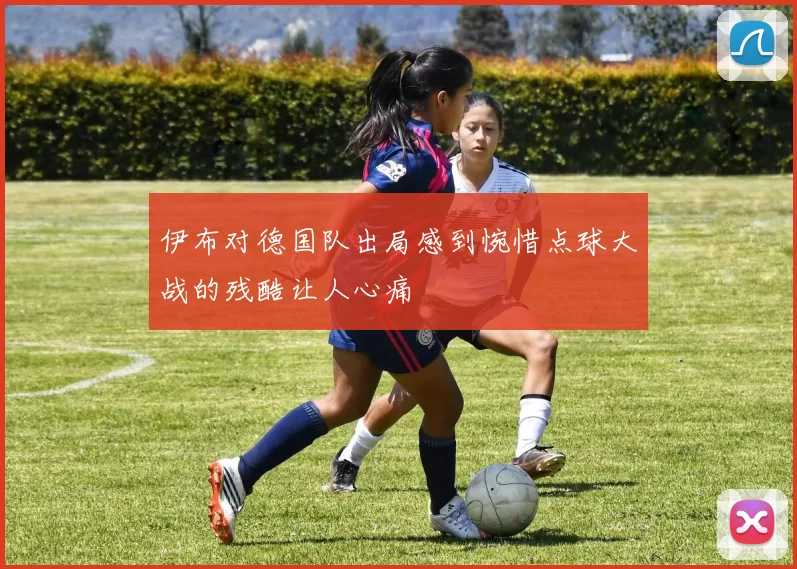 伊布对德国队出局感到惋惜点球大战的残酷让人心痛